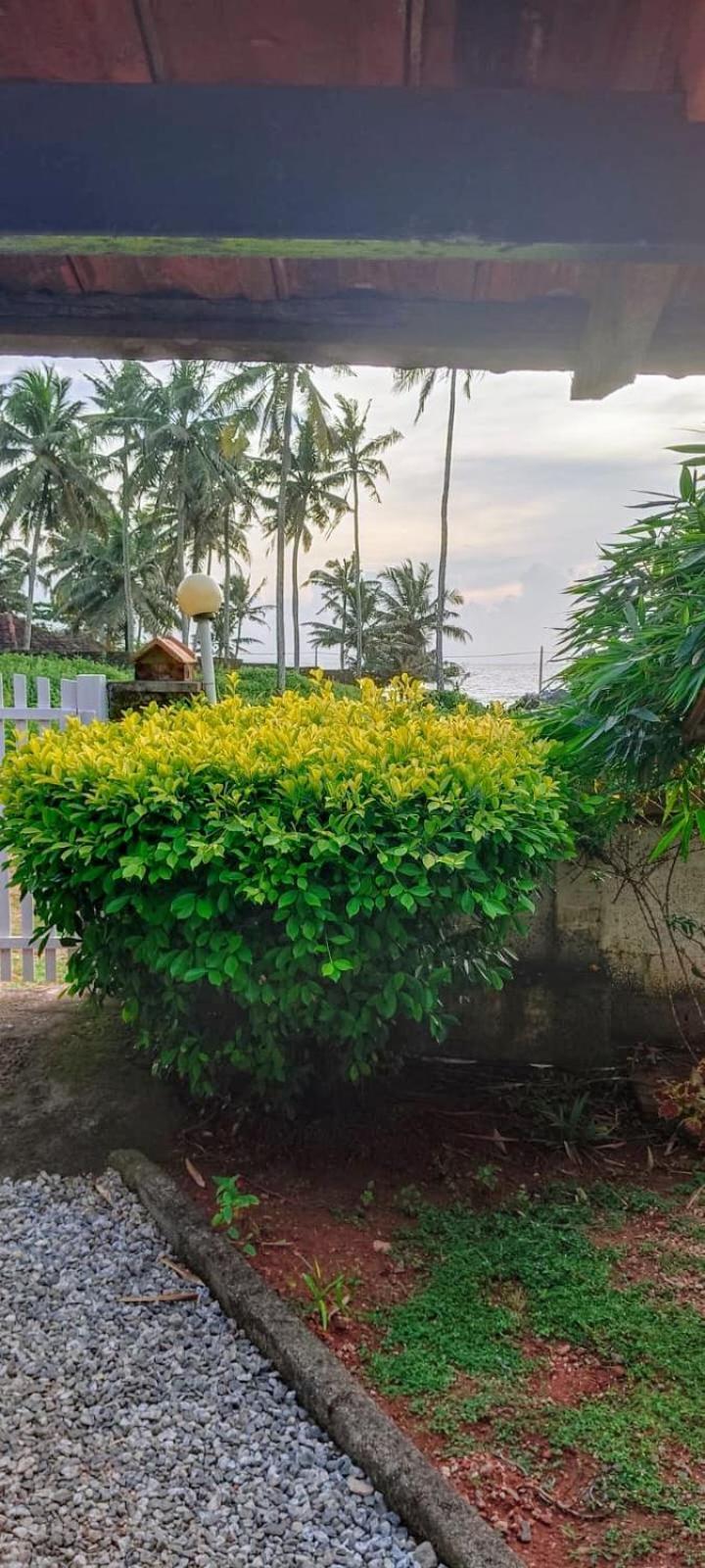 Sherly Cottages فاركَالا المظهر الخارجي الصورة
